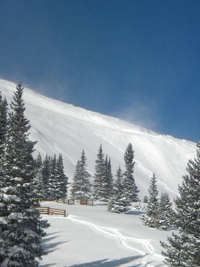 522 Watch Hill Condo Silverthorne Bagian luar foto